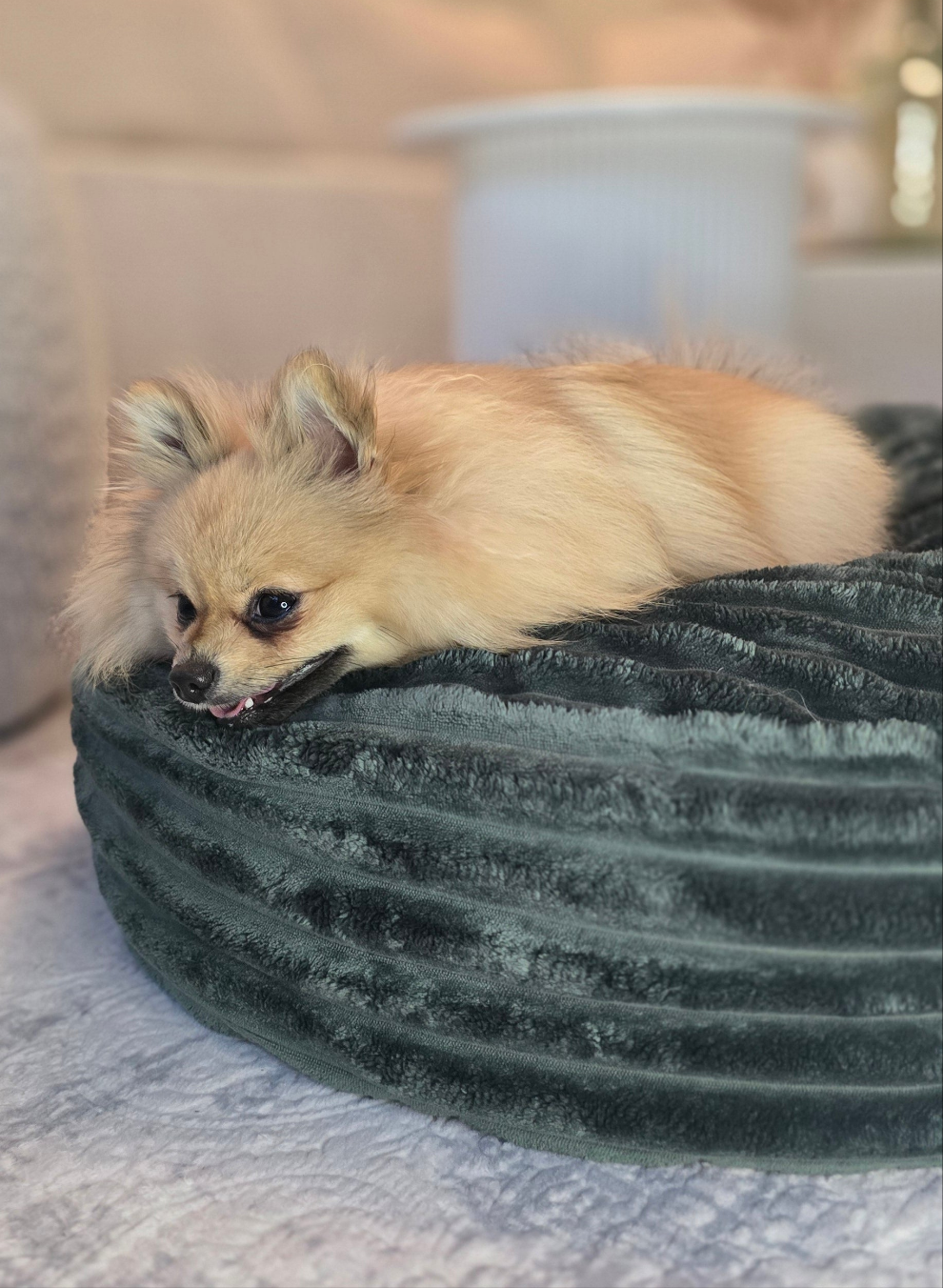 Pufka welurowo- sztruksowa w kolorze butelkowej zieleni, legowisko