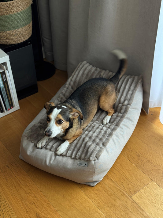 Leżanka beżowa, legowisko dla psa