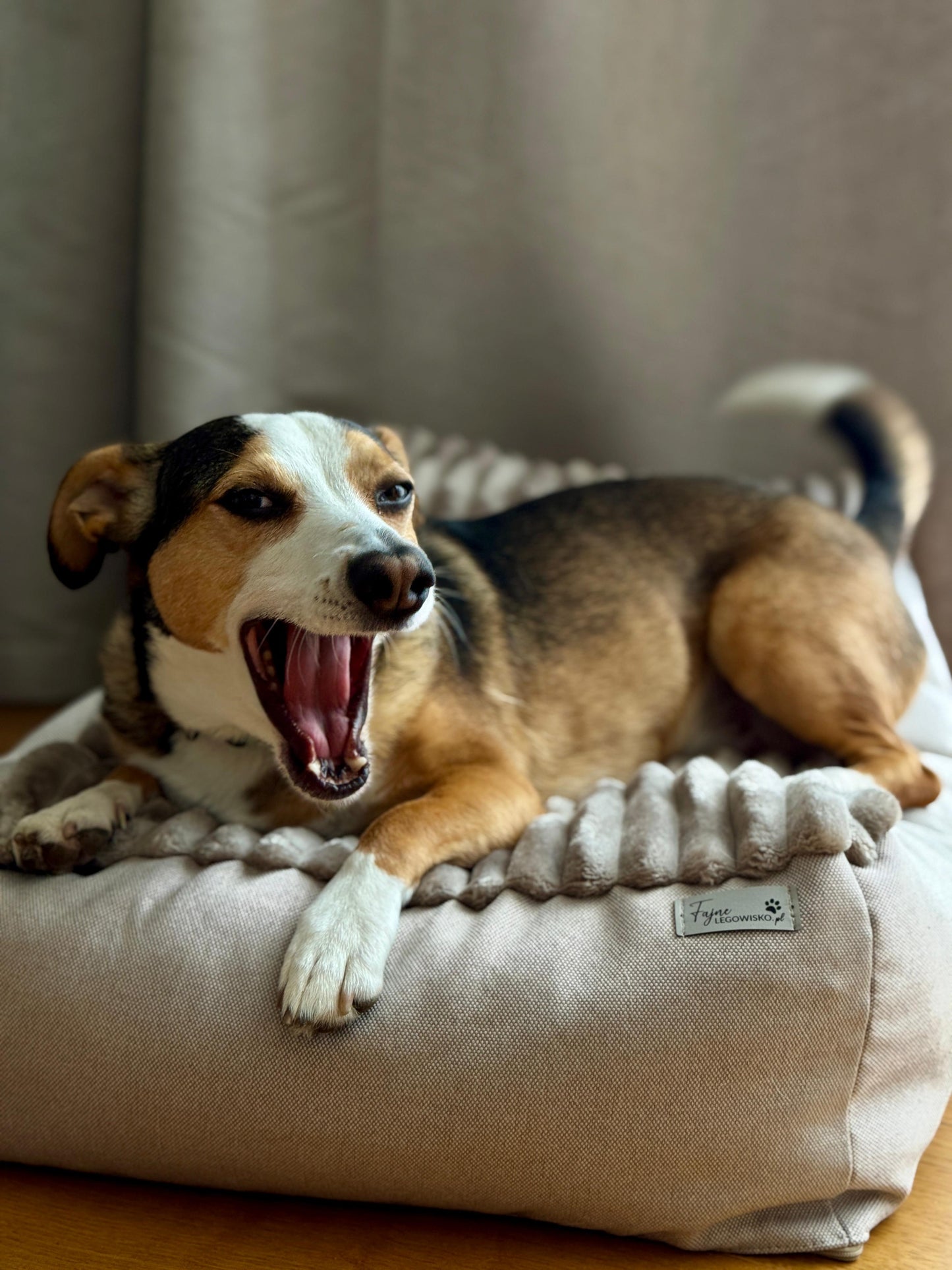 Leżanka beżowa, legowisko dla psa