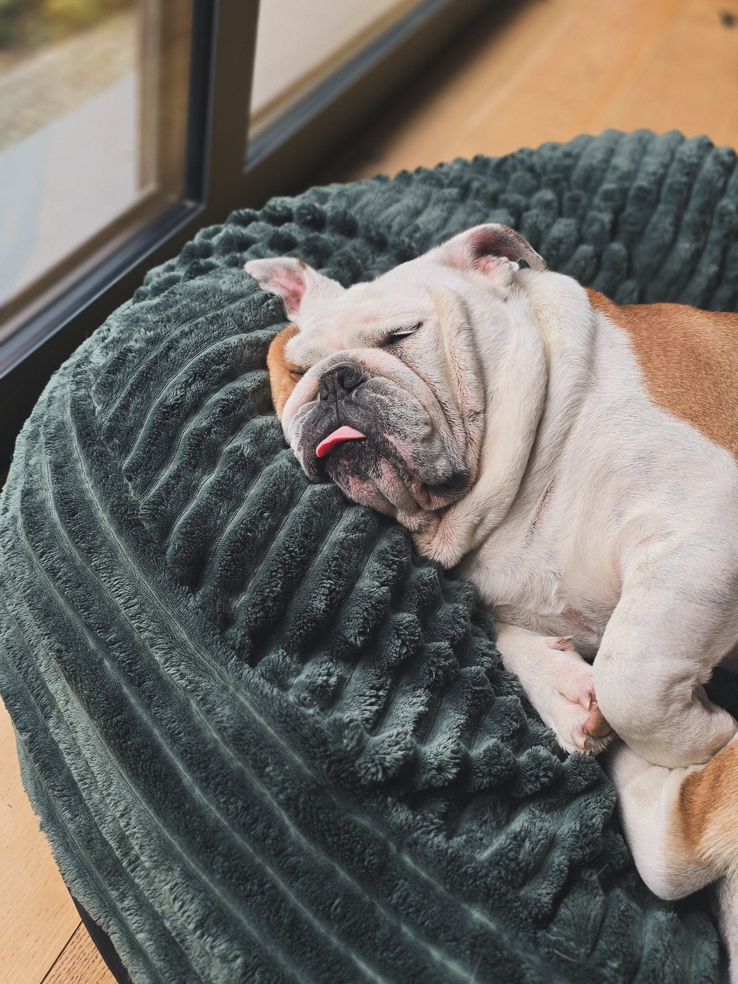 Pufka sztruksowo-welurowa w kolorze butelkowej zieleni, legowisko