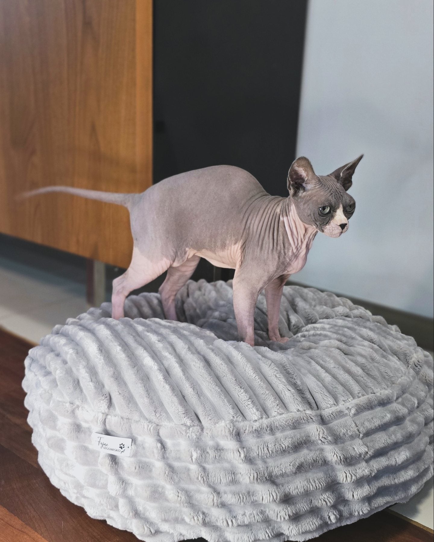 Pufka sztruksowo-welurowa w kolorze szarym, legowisko