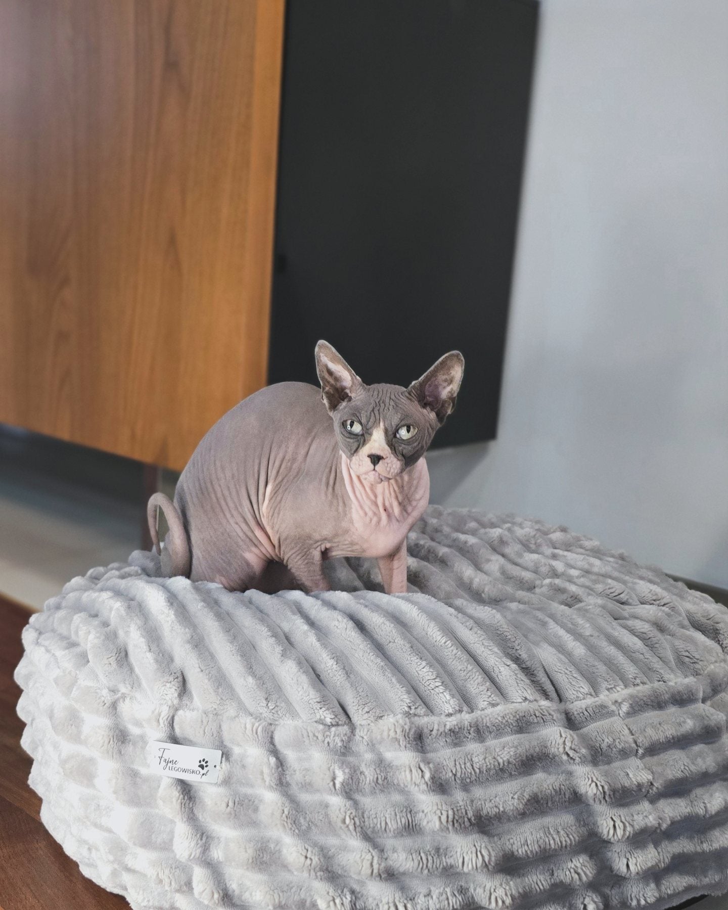 Pufka sztruksowo-welurowa w kolorze szarym, legowisko