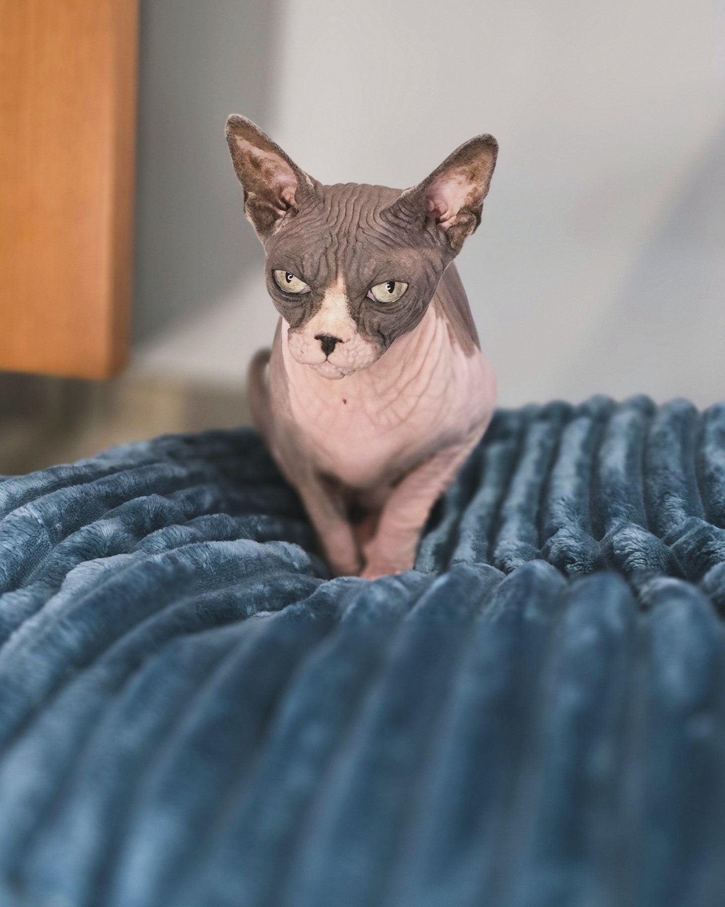 Pufka sztruksowo-welurowa w kolorze turkusowym,legowisko