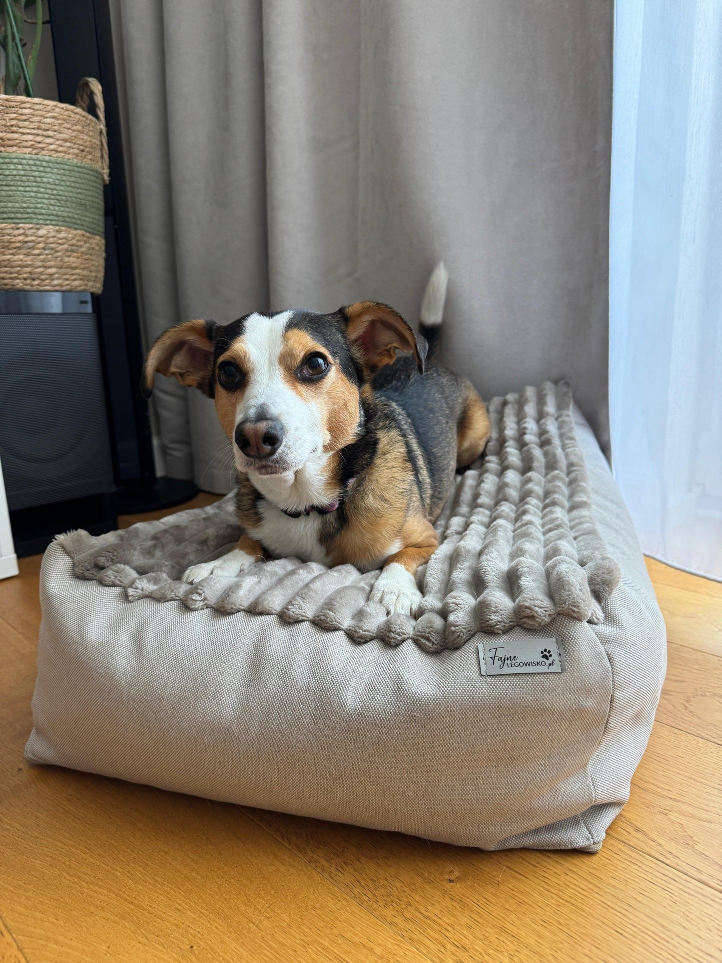Leżanka beżowa, legowisko dla psa