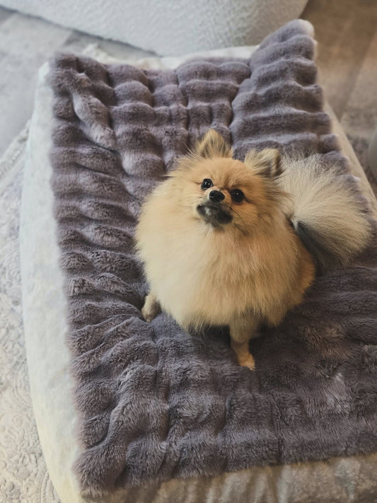 Leżanka dla psa w odcieniach szarości z futerkiem bubble, legowisko dla psa