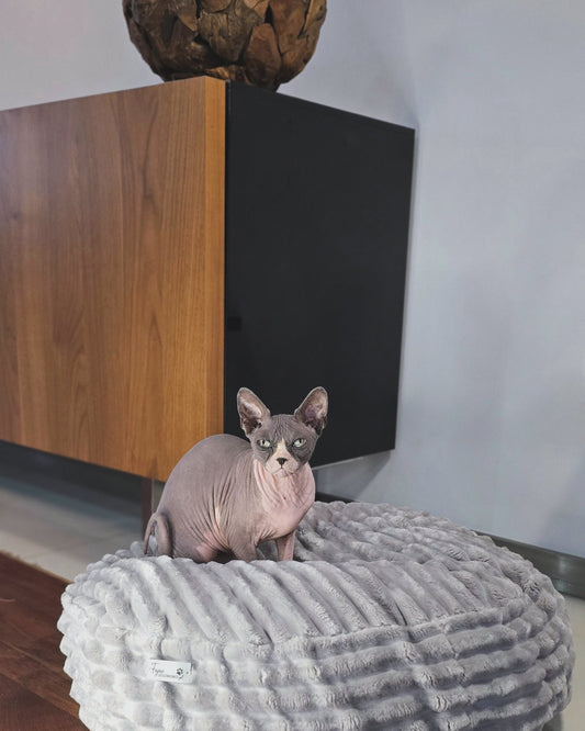 Pufka sztruksowo-welurowa w kolorze szarym, legowisko