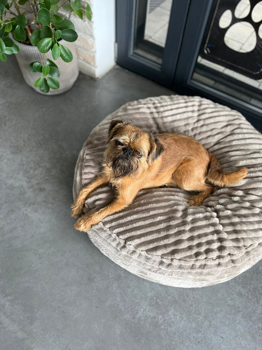 Pufka sztruksowo- welurowa w kolorze beżowym, legowisko