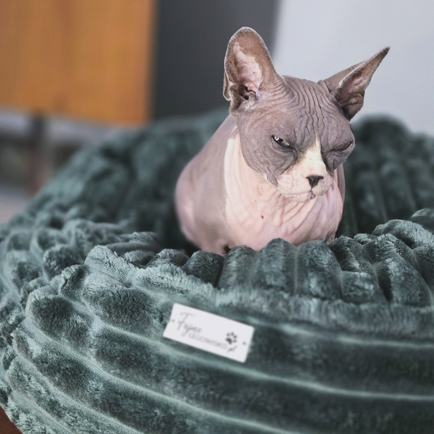 Pufka welurowo- sztruksowa w kolorze butelkowej zieleni, legowisko