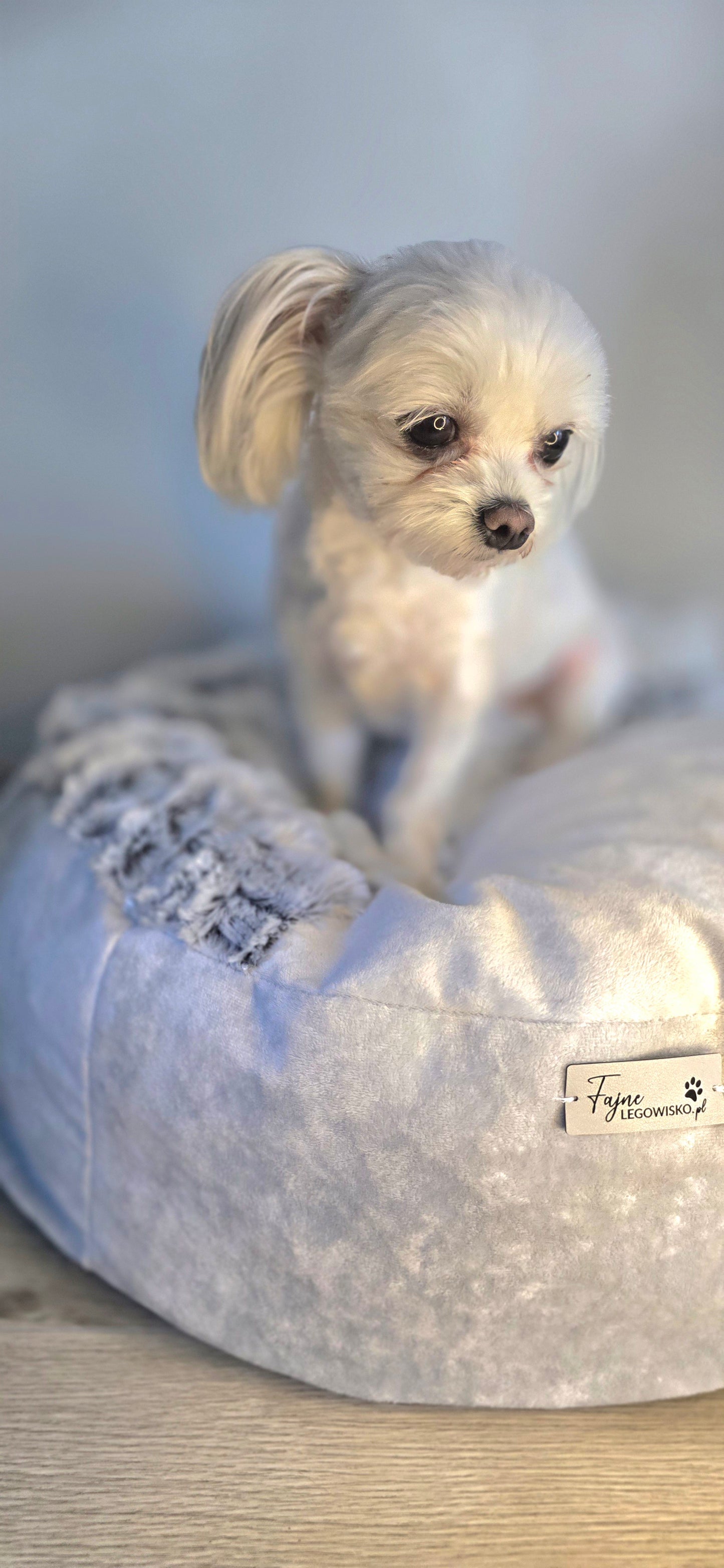 Pufka- norka z kocykiem, legowisko dla psa