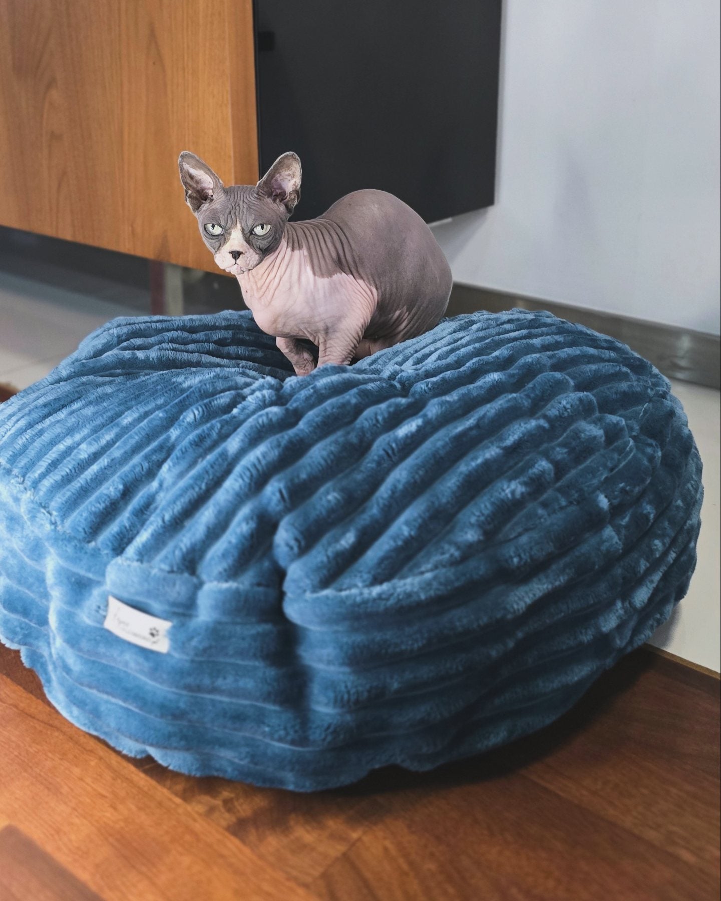 Pufka sztruksowo-welurowa w kolorze turkusowym,legowisko