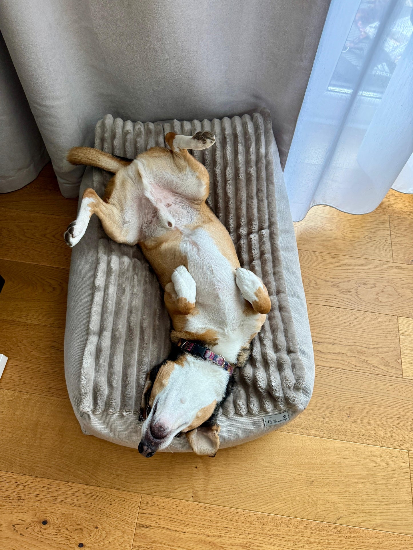 Leżanka beżowa, legowisko dla psa