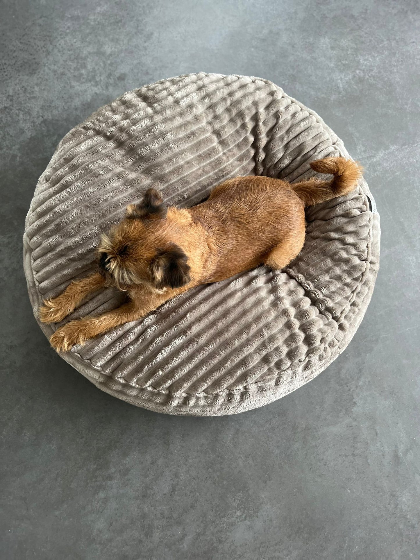 Pufka sztruksowo- welurowa w kolorze beżowym, legowisko