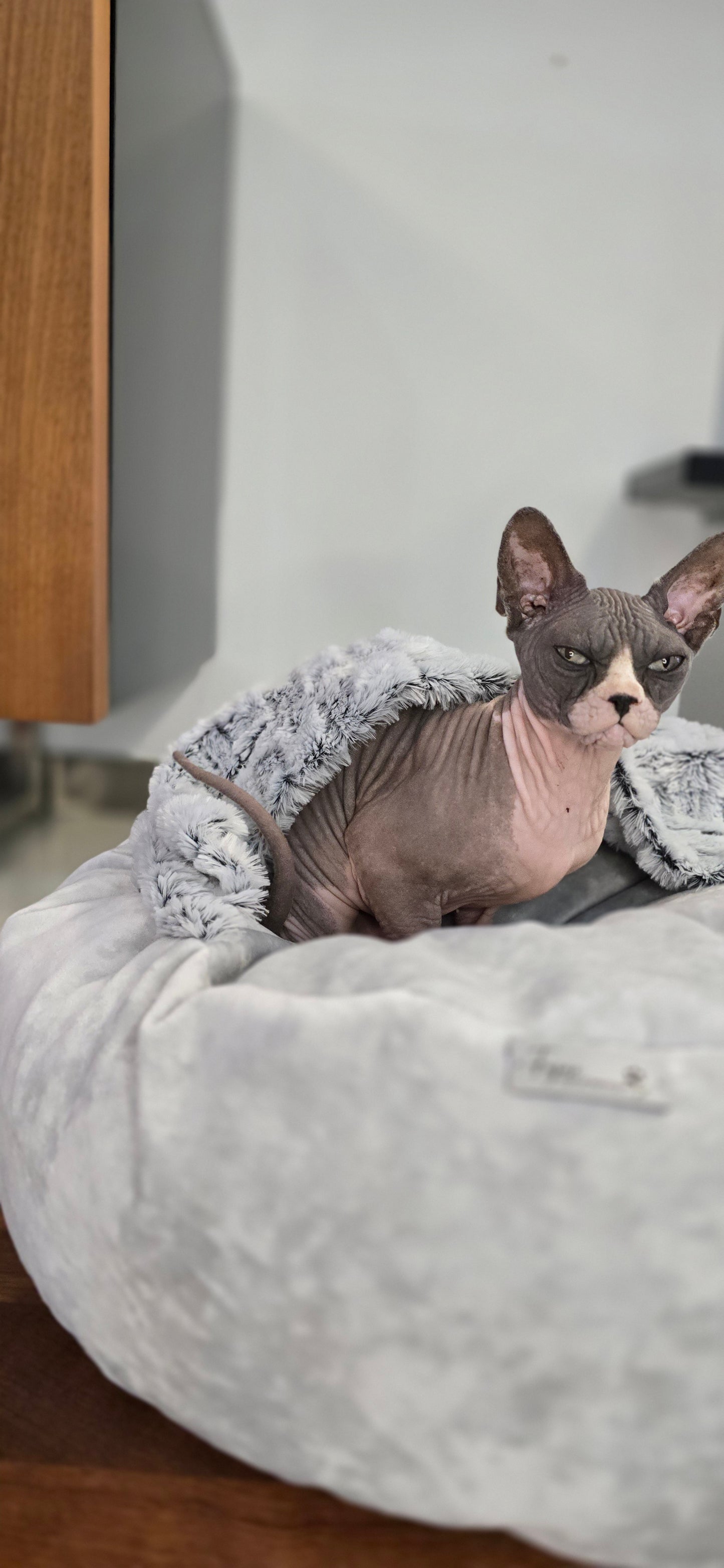 Pufka- norka z kocykiem, legowisko dla psa