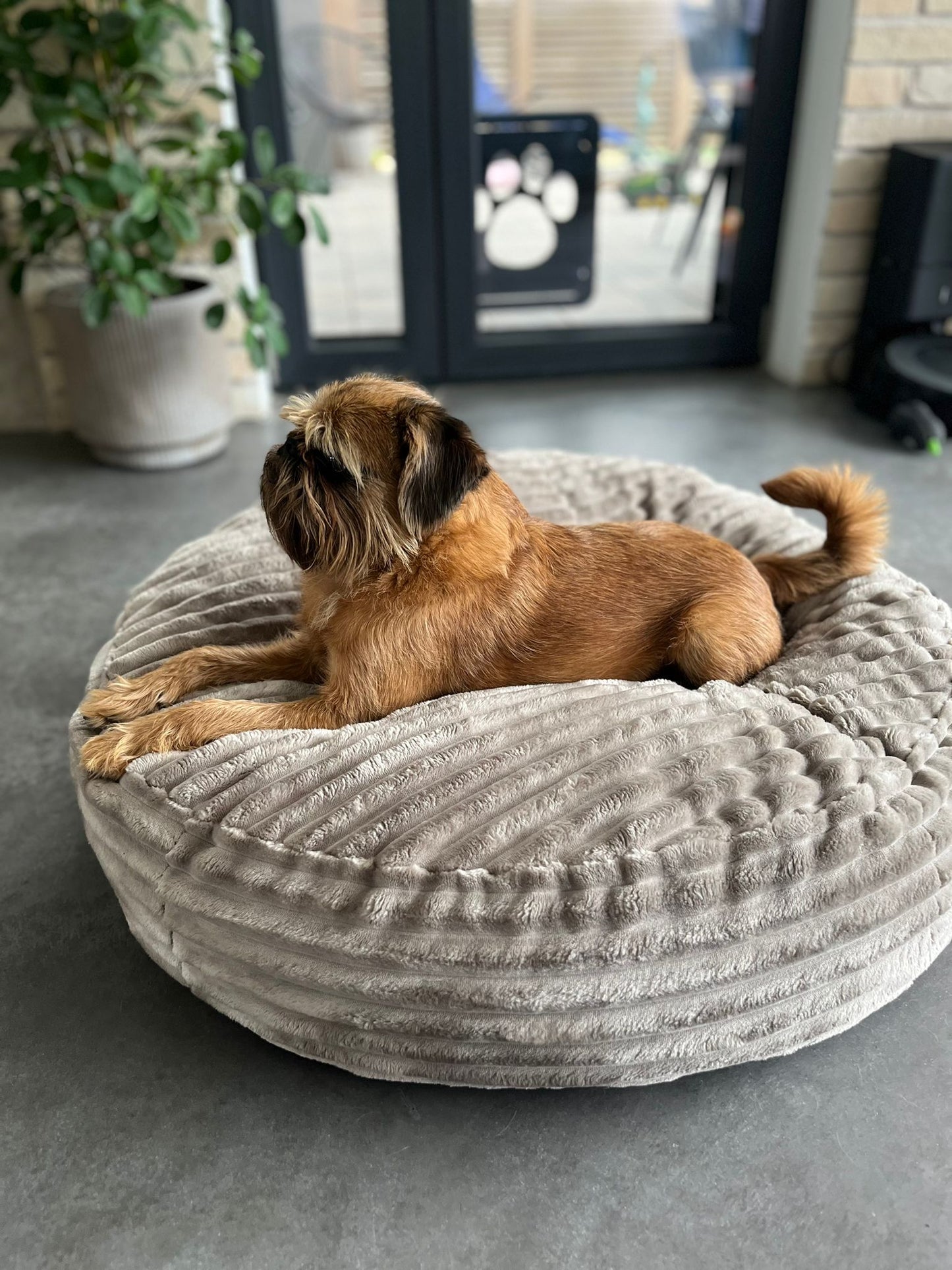 Pufka sztruksowo- welurowa w kolorze beżowym, legowisko