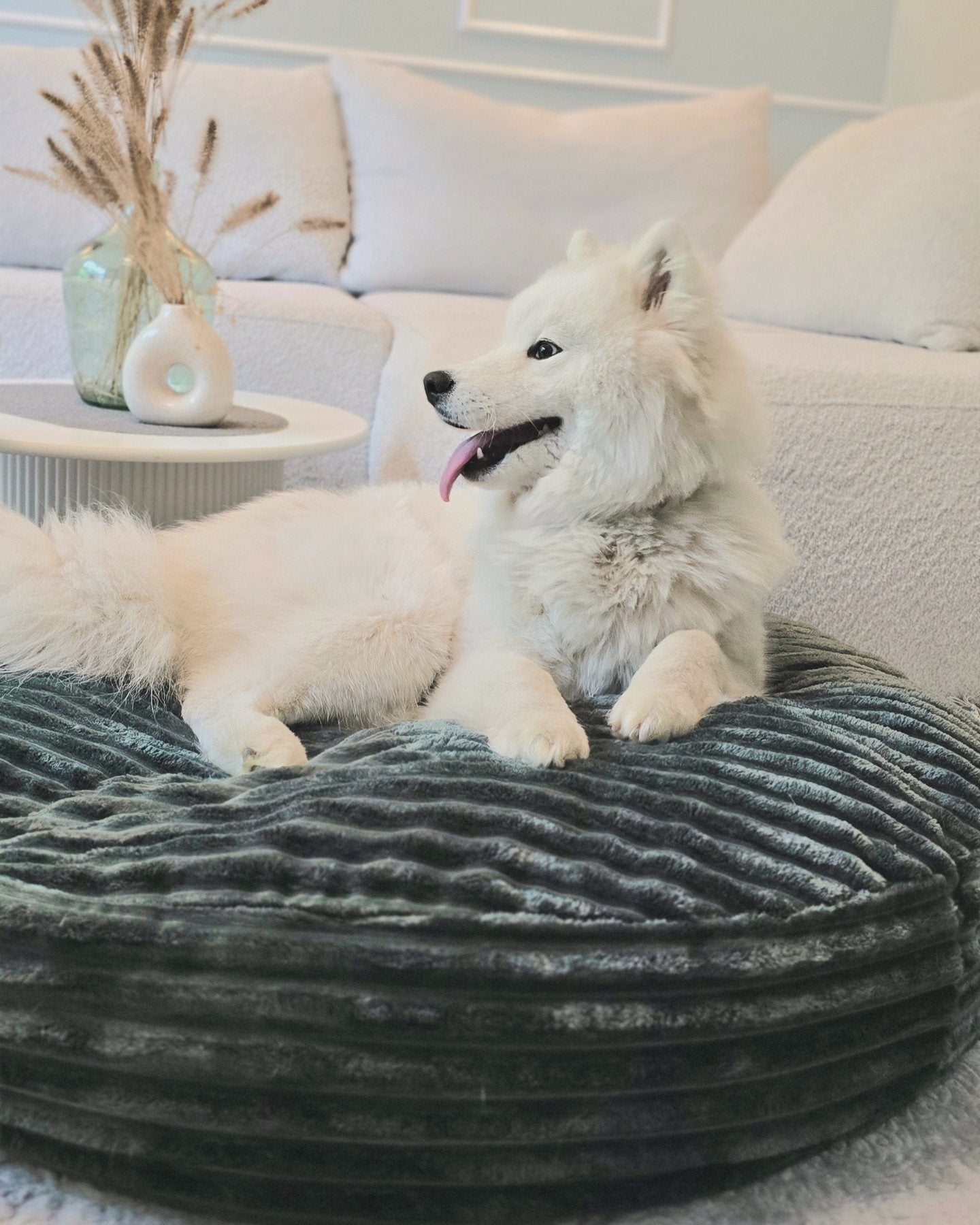 Pufka sztruksowo-welurowa w kolorze butelkowej zieleni, legowisko