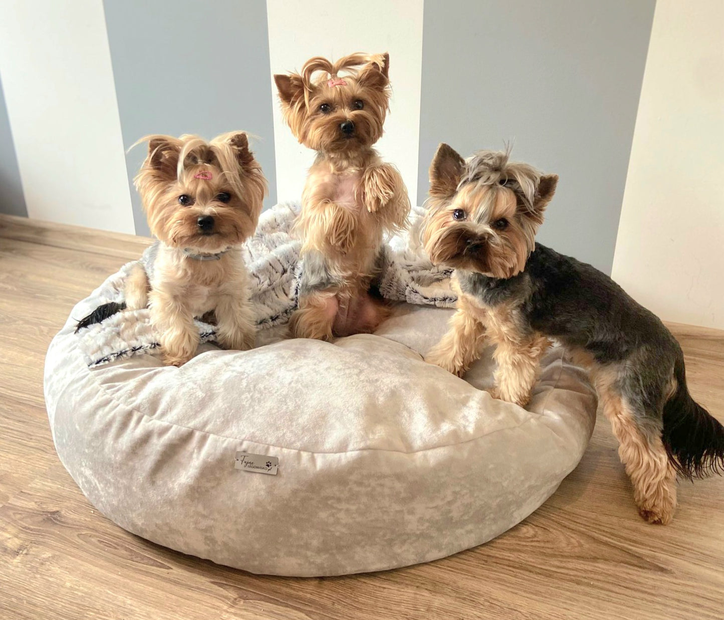 Pufka- norka z kocykiem, legowisko dla psa