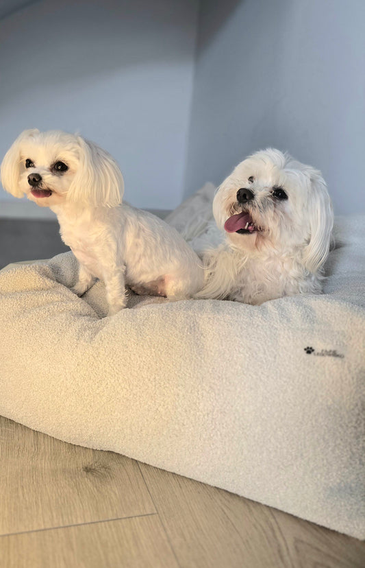 Leżanka dla psa-ekoskóra z futerkiem boucle, legowisko